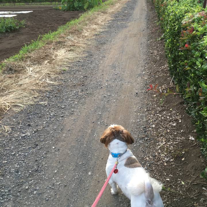 3166d842 a0ca 40a8 8b31 781891c70d6e