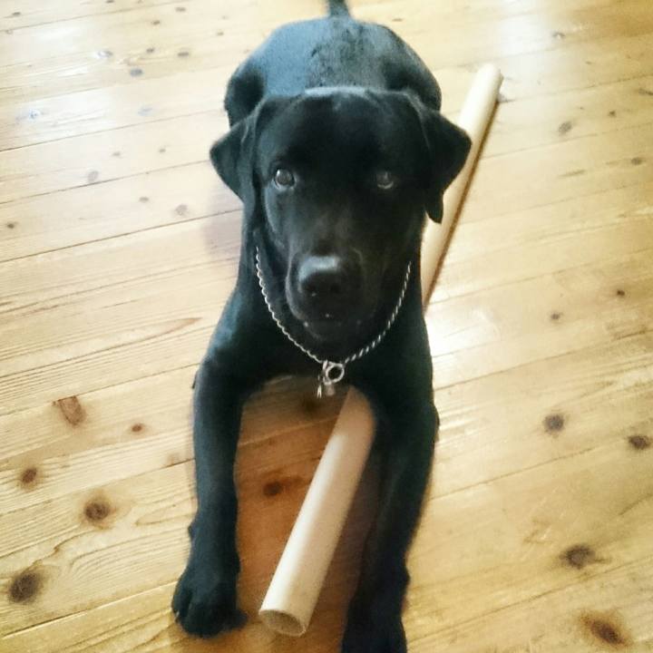 3168e126 e081 4922 beea 466bc8c72583