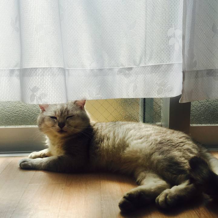 3168f27d c61c 4903 8197 98aac68f2d2c