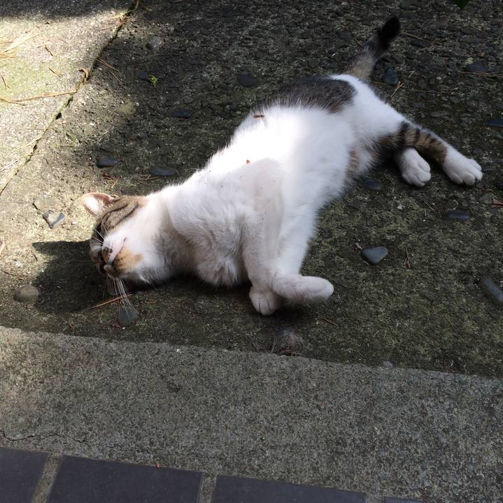 3169cb35 d5fc 4e5d ae71 7144c43e2ee1