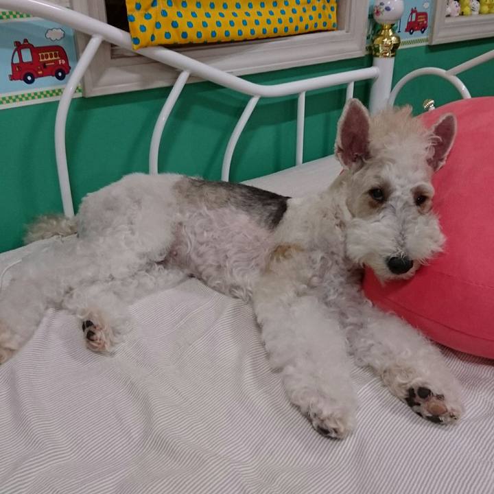 3169d5a2 8cab 4d18 a6fb 3613a38be050