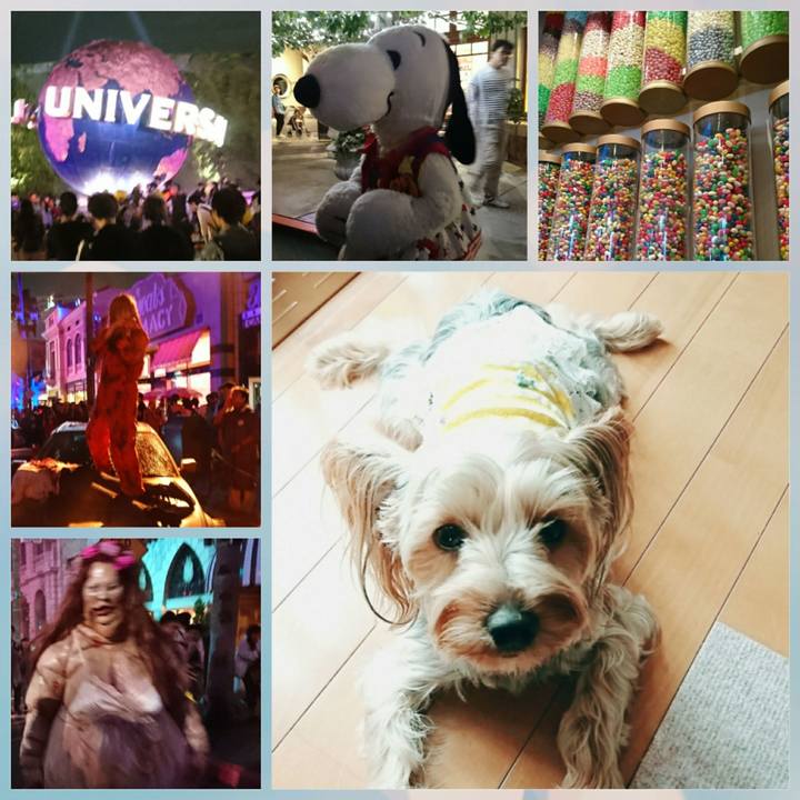 3169e7d9 7ed3 41c7 8b6d 0de9703918cf