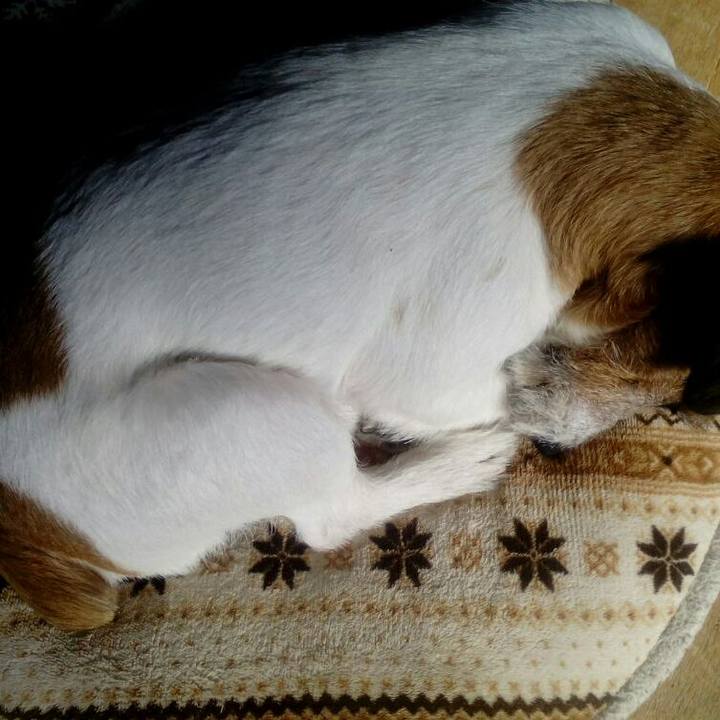 316a3e21 d829 4fc4 8978 19c23778b127