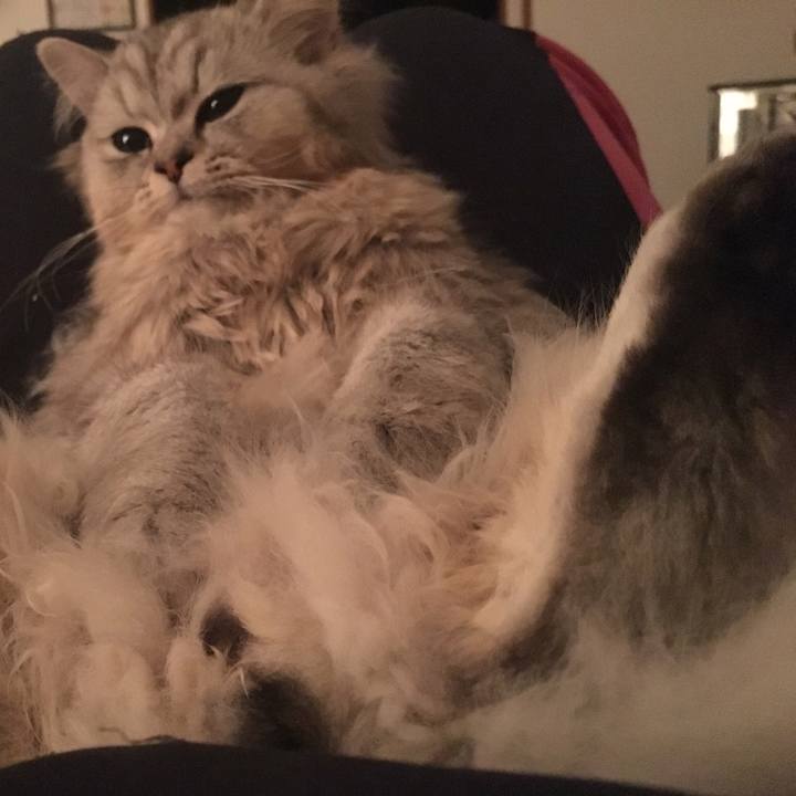 316a4d04 be02 4459 9cf1 d6176731e47c