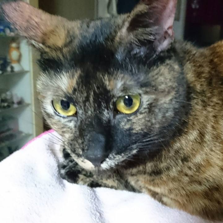 316b07c7 136c 4a4c a7a4 950005d9d4d3