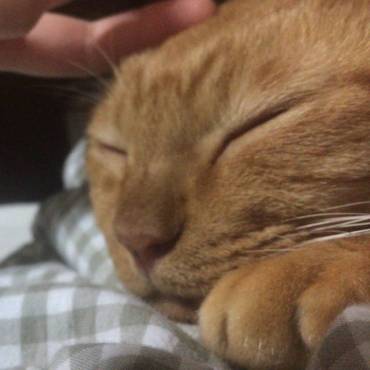 316b387f 2657 4a65 a7d1 74ad650f1f87