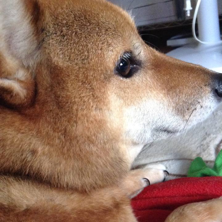 316beeab 4421 4ca3 bfc4 37d39616e7a8