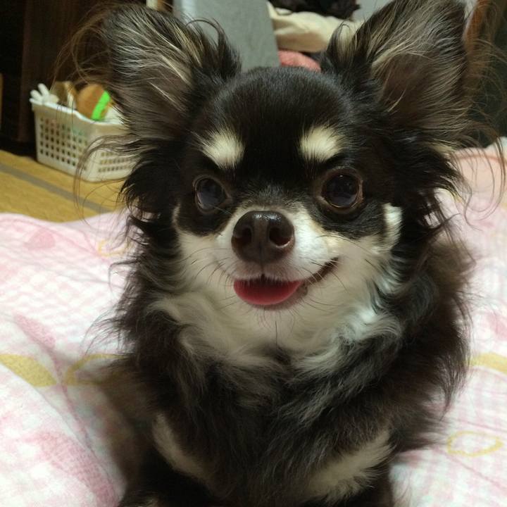 316c1567 1825 4394 8763 db68e7a86b01