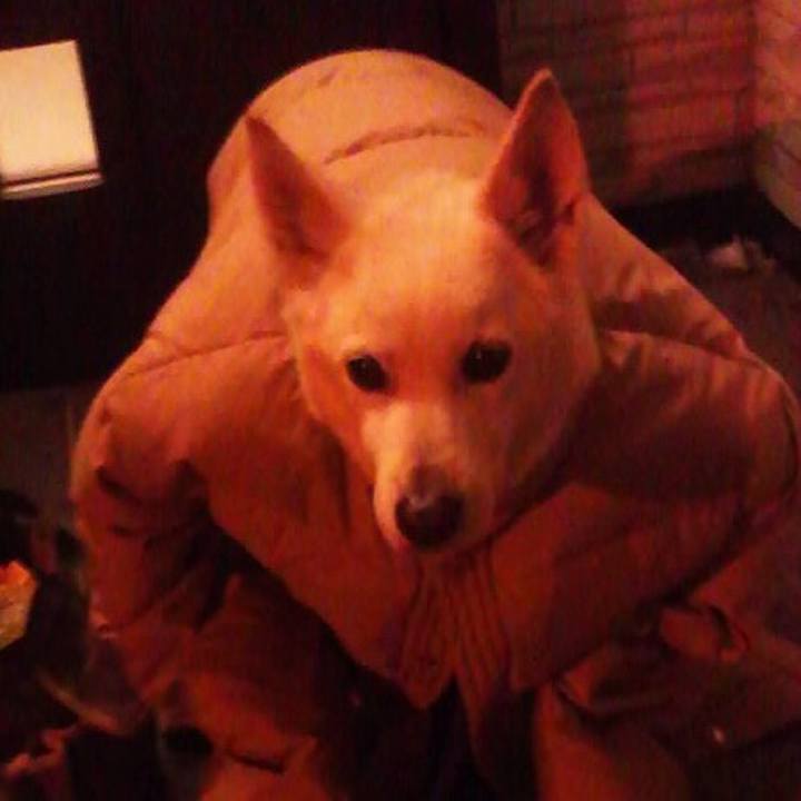 316c433e fbc4 401a b1b0 860f7f4d7b18