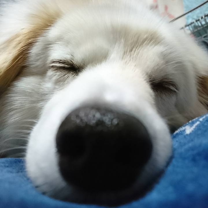 316c7bec f192 4ee2 bfcd 34b5a4c27ca9