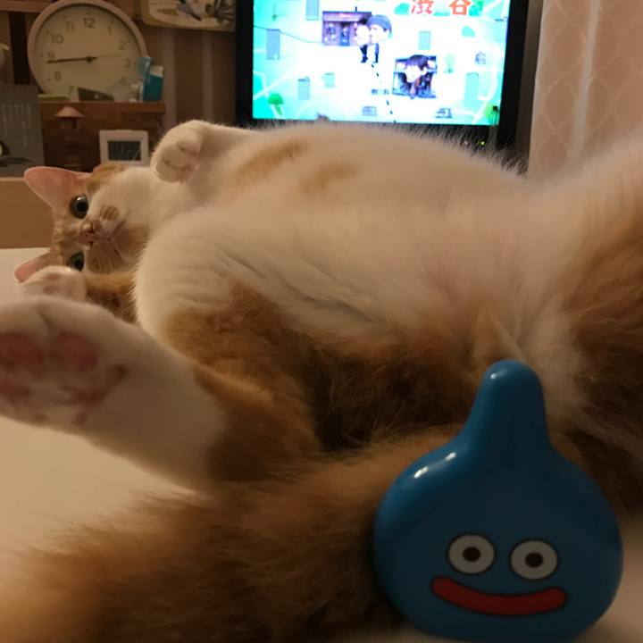 316cd0b4 6d3e 43f9 885b b9794f3d4a22