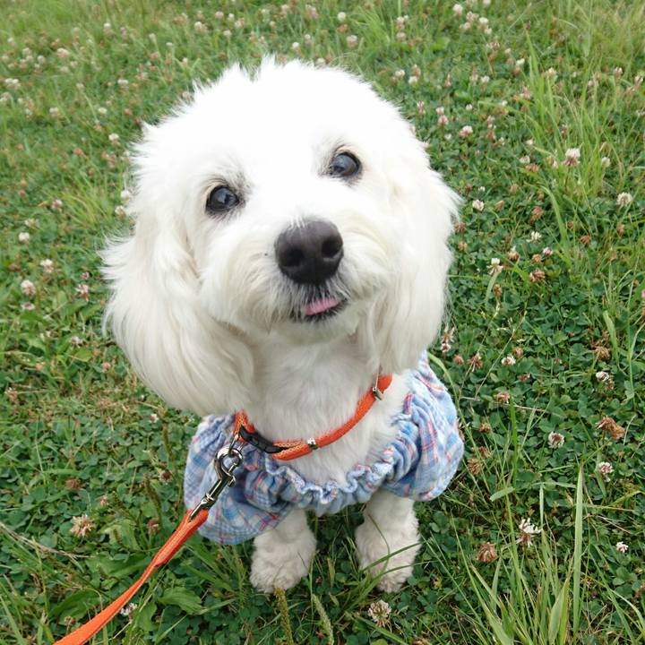 316d460b 354d 4d07 948c dad434b02f1f