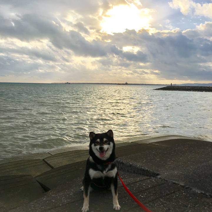 316e3be0 2d34 4085 958f 18c1bc07dfe8