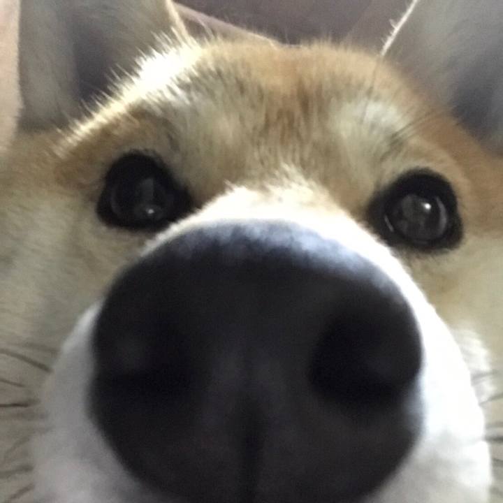 316e7841 d403 44ba b076 8338591b5117