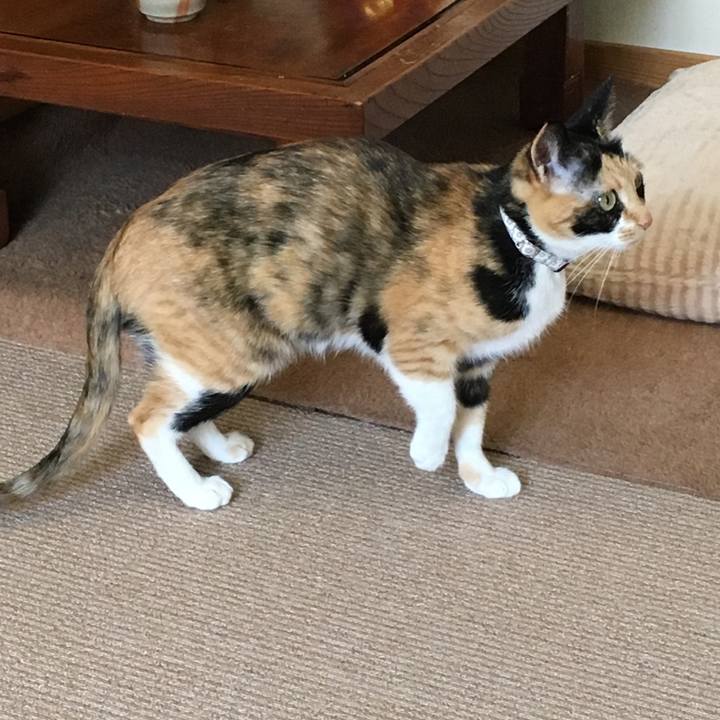 316f60c0 e736 4d0b b9de 8911bfcac9c5