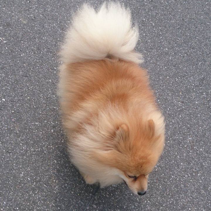 316f74c3 eaac 49b9 a8a6 e350b14022a7