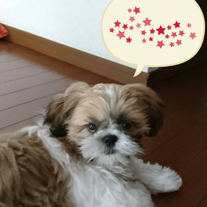 316f7a21 6839 45c3 96ab b82bd767f6f7