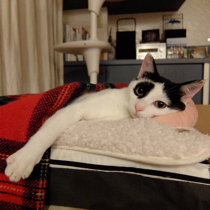 316fee93 74ce 4e08 b726 7641aaacc5ba