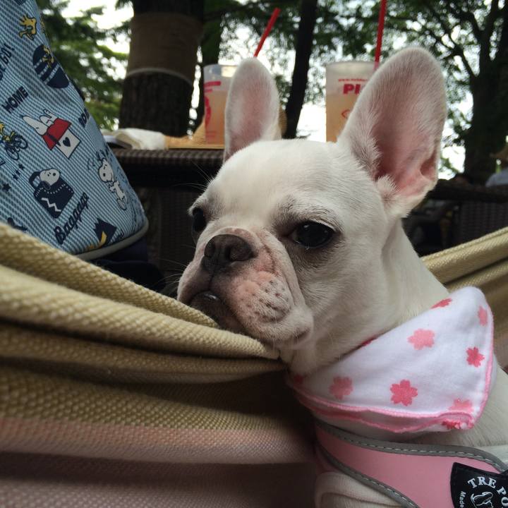 31700e00 2ae0 4b3e bbf3 45ec06315be1