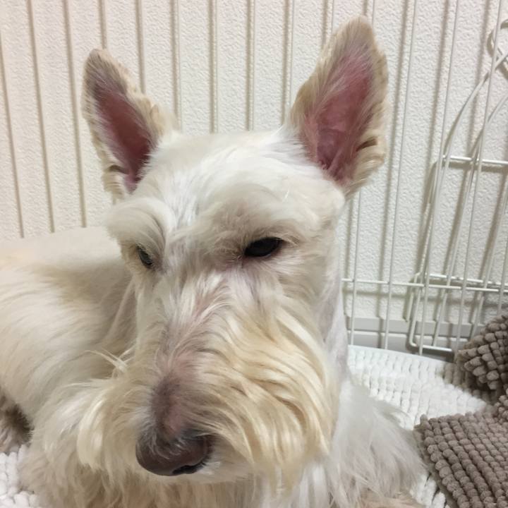 31705b26 740f 49b4 8874 08fef656f5f7