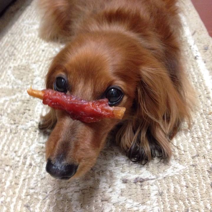 3170c26e 36fa 4481 ada3 43fc50ec2976