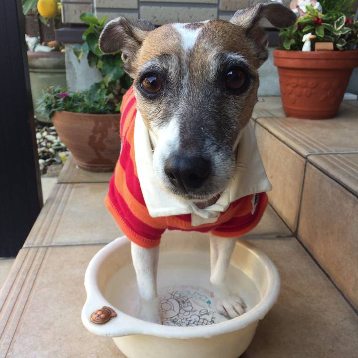 31734700 0f96 44b9 a529 a6128612906f