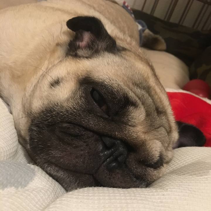 31740539 a577 4871 9053 8c345f511b18