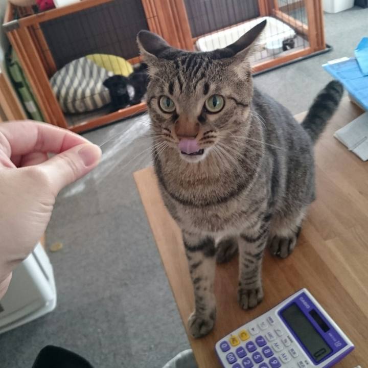 3174202b 14ab 48a9 b2a1 62e9fad173c6