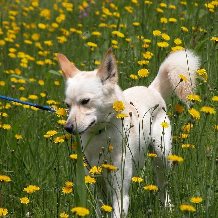 31749934 9123 4d24 bedc aef0e25a0e63