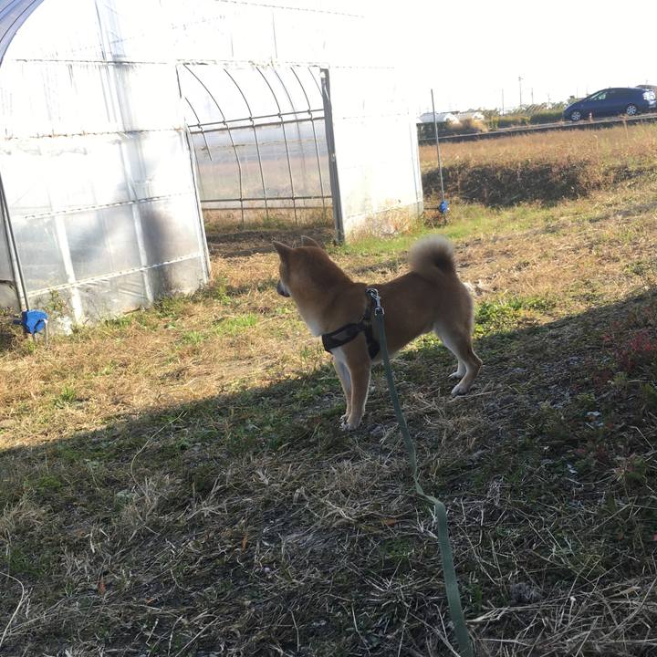 3174df57 58d8 4417 bd52 7d404a7ccec9