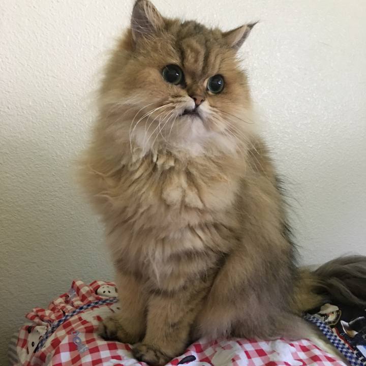 3175f9c0 da0f 40af 9505 9ed5ee457c28