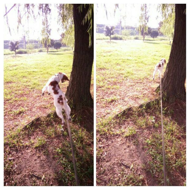 317617c8 2ca2 4cb1 ae95 a390e3edc14d