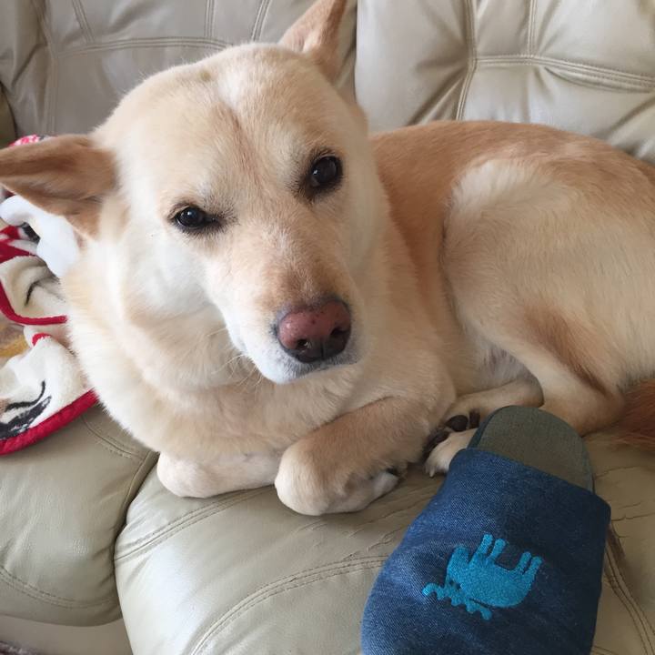 31766a20 4eb4 4959 bb5d 6a14fec0138f