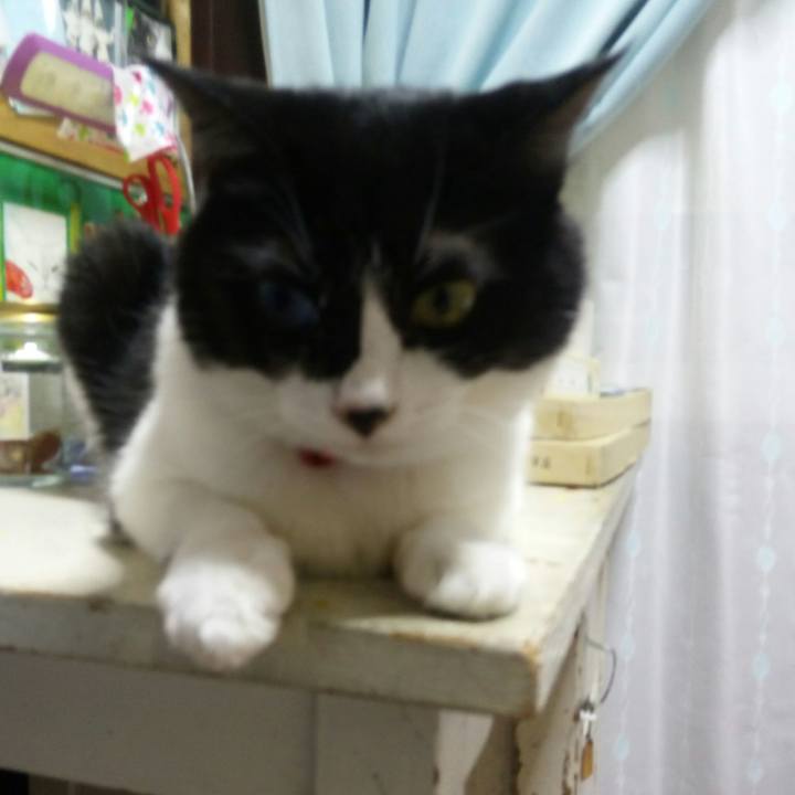 317689fd 20a6 4770 962f 7cfde14397d9