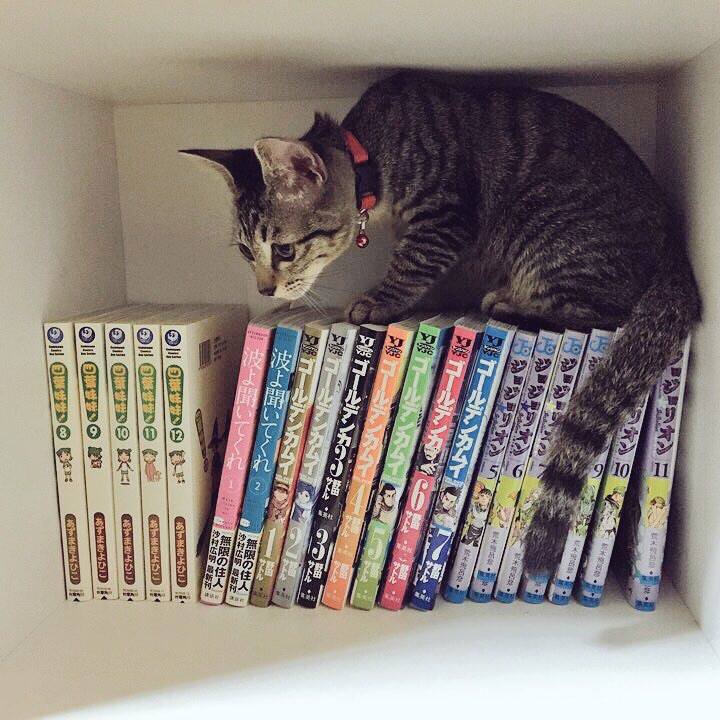 3176cd2d 0283 45f8 8cd9 372fac7aa5c1