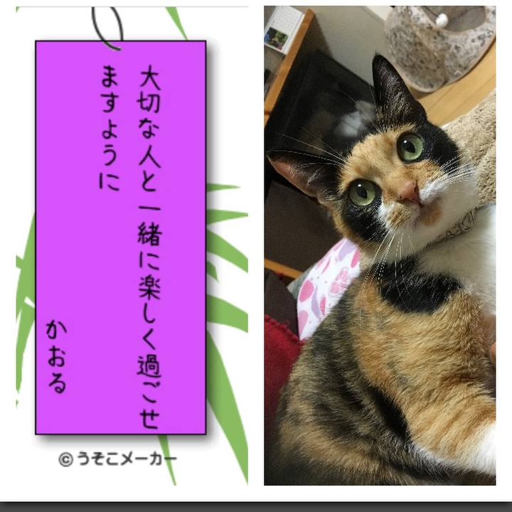 317760af 160d 4bd4 9c2b 40eb886b3f2d