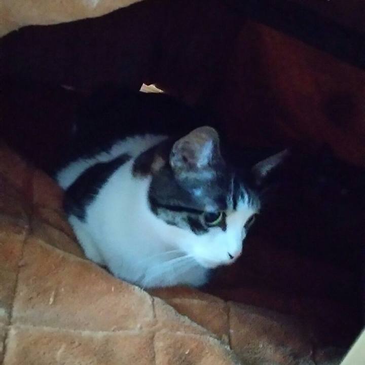 3177a109 cb11 416c adf9 293c53b4b0e5