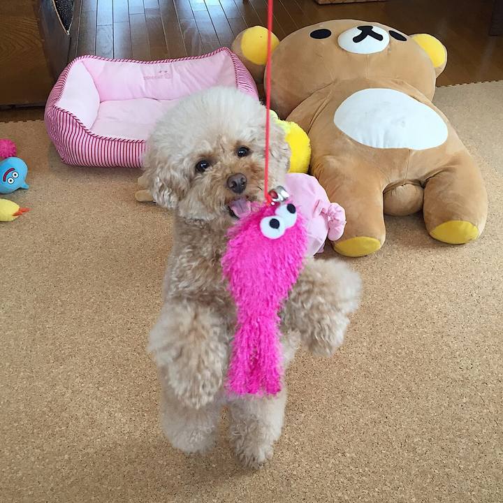 3177d837 a369 480d 9c63 906009a6268b