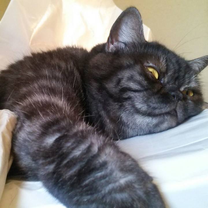 3178193f 8ff9 4353 98b2 5ccab5e4e6be