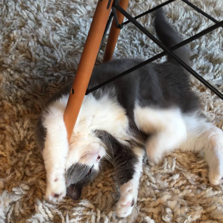 31785223 fbd3 4e15 a6c1 9e4edc0c1851