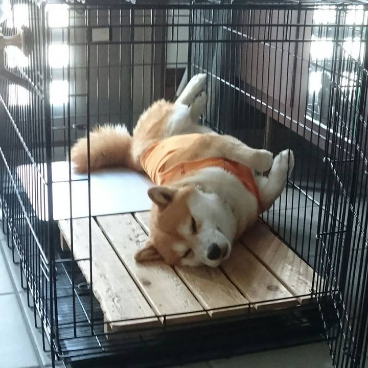 3178a295 d5e5 4403 b9fc 8faa9cd8a36b