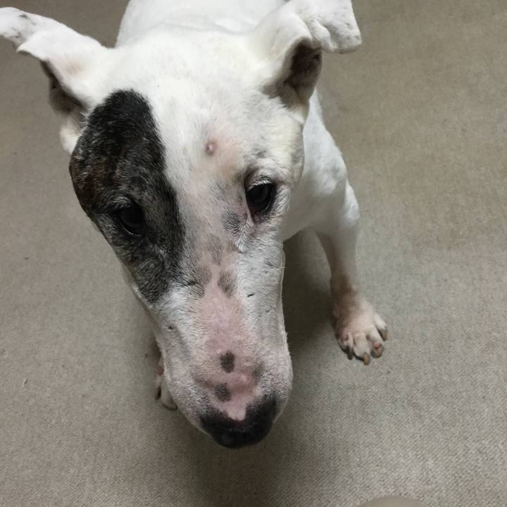 3178d260 f048 4404 96e7 82a8ac2b47ff