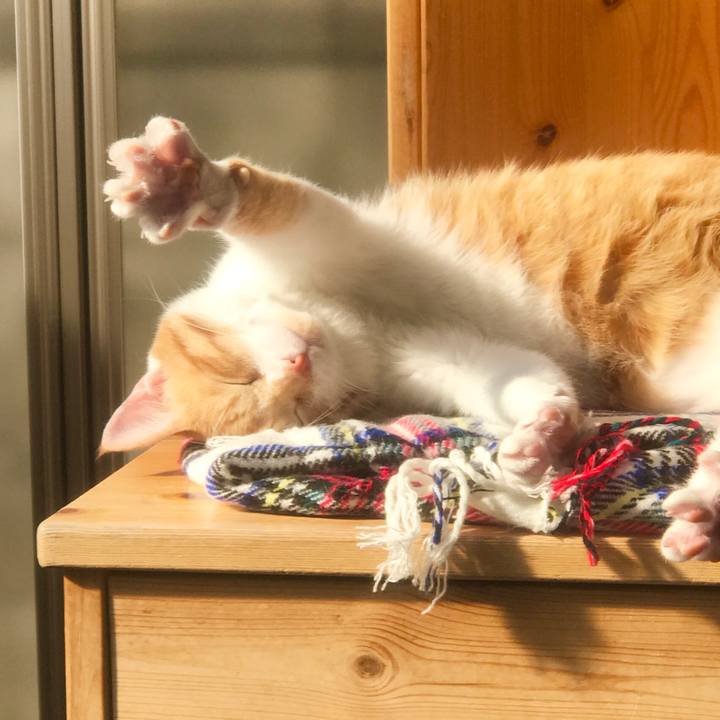 31790238 3b4a 48a0 ab2d b411121fbad8