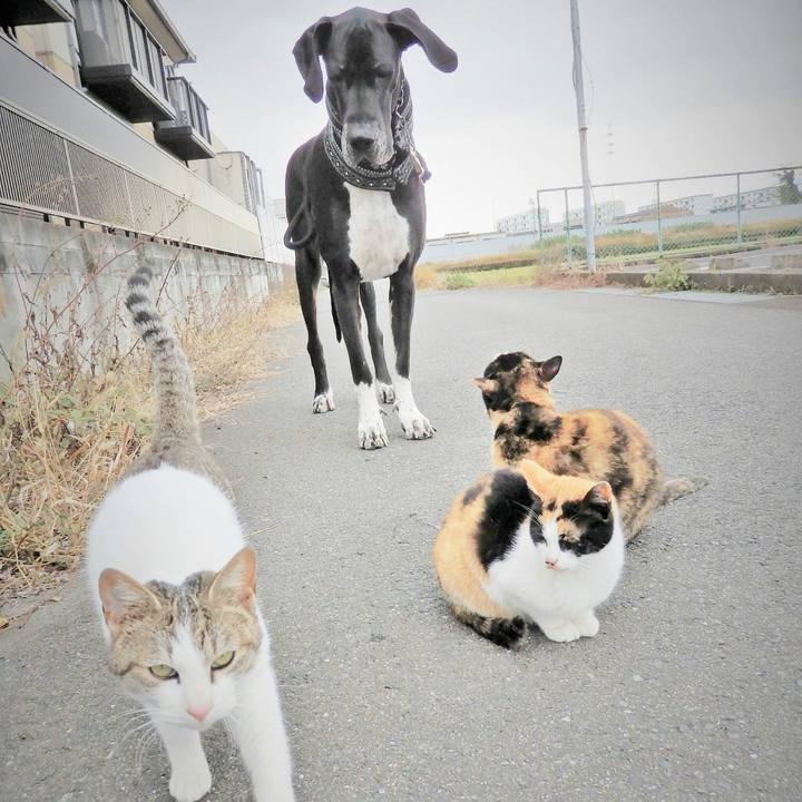 31793fc8 5d60 495a a7cc 7e0a5d4a3ab2