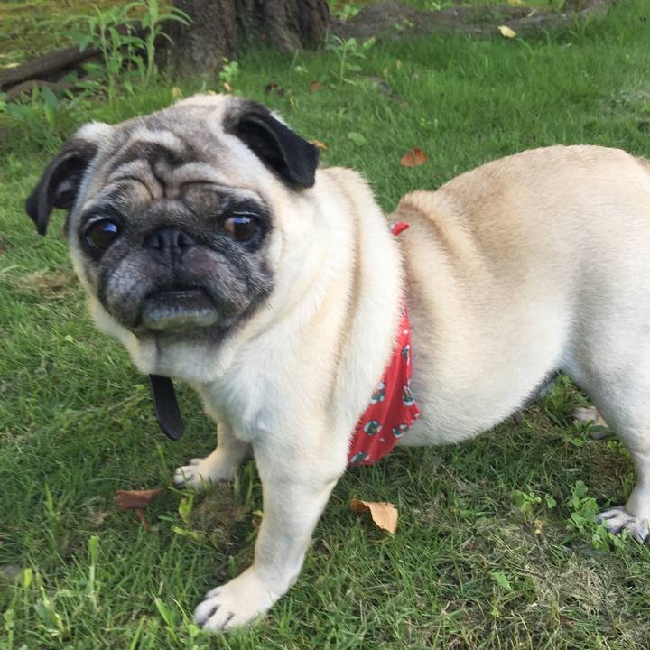 3179e622 6a2e 4f24 95c3 c79be339766f