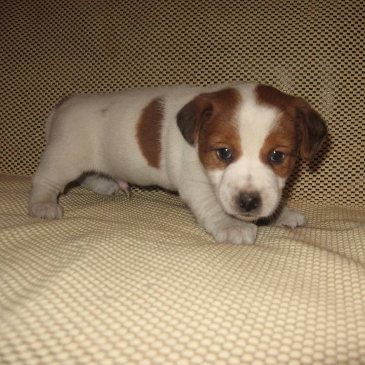 3179f96b ae99 4d5f 8e89 ba2175a68ad4