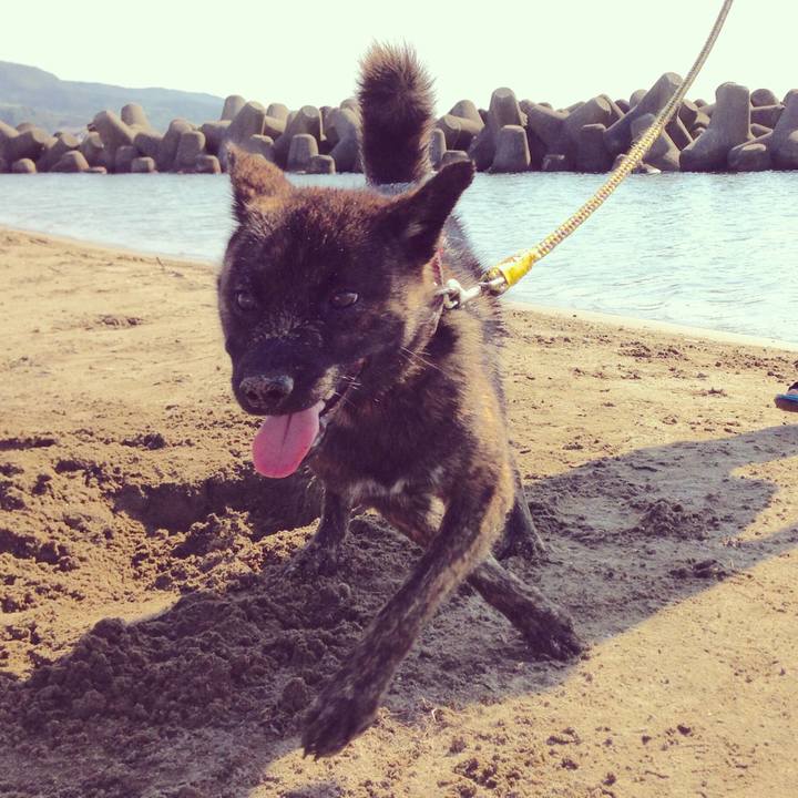 317a0c82 0375 46d9 bb89 99c35c72c4e3