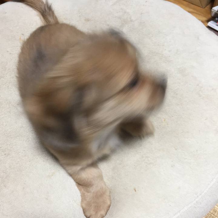 317c5d50 b51c 4021 af50 6c0cb2326852