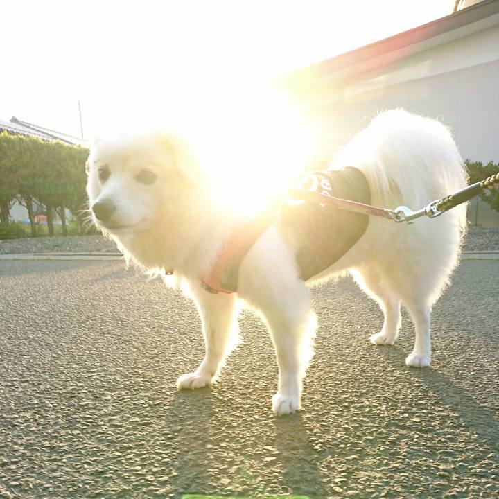 317c6684 5ff2 4437 81f4 18692bf6b2fb