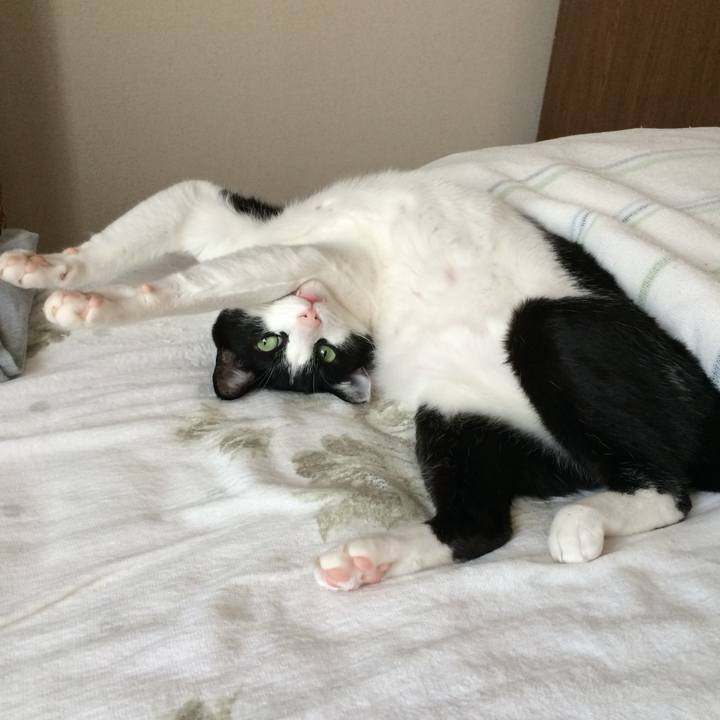 317c8881 5ead 450c a8d7 c4f81787ba06